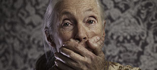 Jane Goodall à Paris